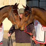 Cue Card and Thistlecrack with Colin Tizzard